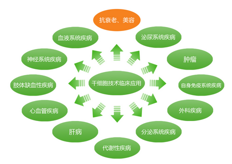 1531990677358260nA7p.png 圖片12.png