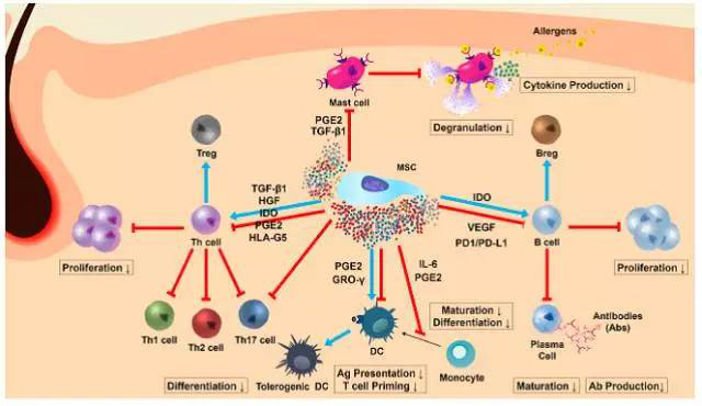 1531991267674949hzUU.png 圖片21.png