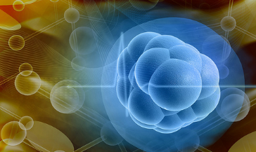 1532045467277269ygdN.png 圖片6.png