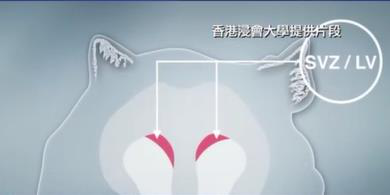 1532049296529107HHY1.png 圖片93.png