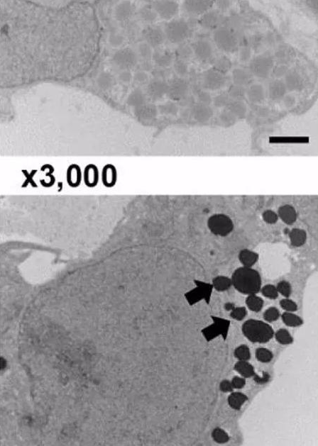 1532064545931540y2Eq.png 120.png