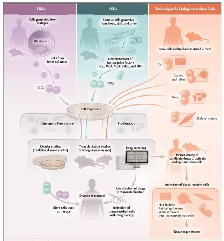 1557363214489755F9j0.jpg 微信圖片_20190509085322.jpg