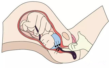 1563329301976436jNXg.png 圖片1.png