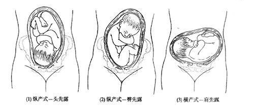 1563329451623811iTXE.png 圖片3.png