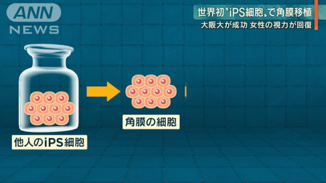 156816227947628652O4.gif 2.gif